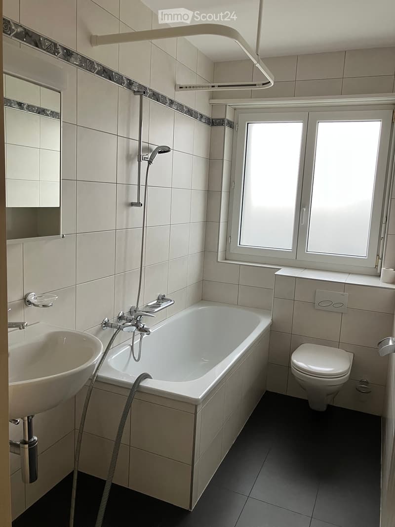 Appartement 3 pièces abordable avec terrasse ensoleillée le soir (3)