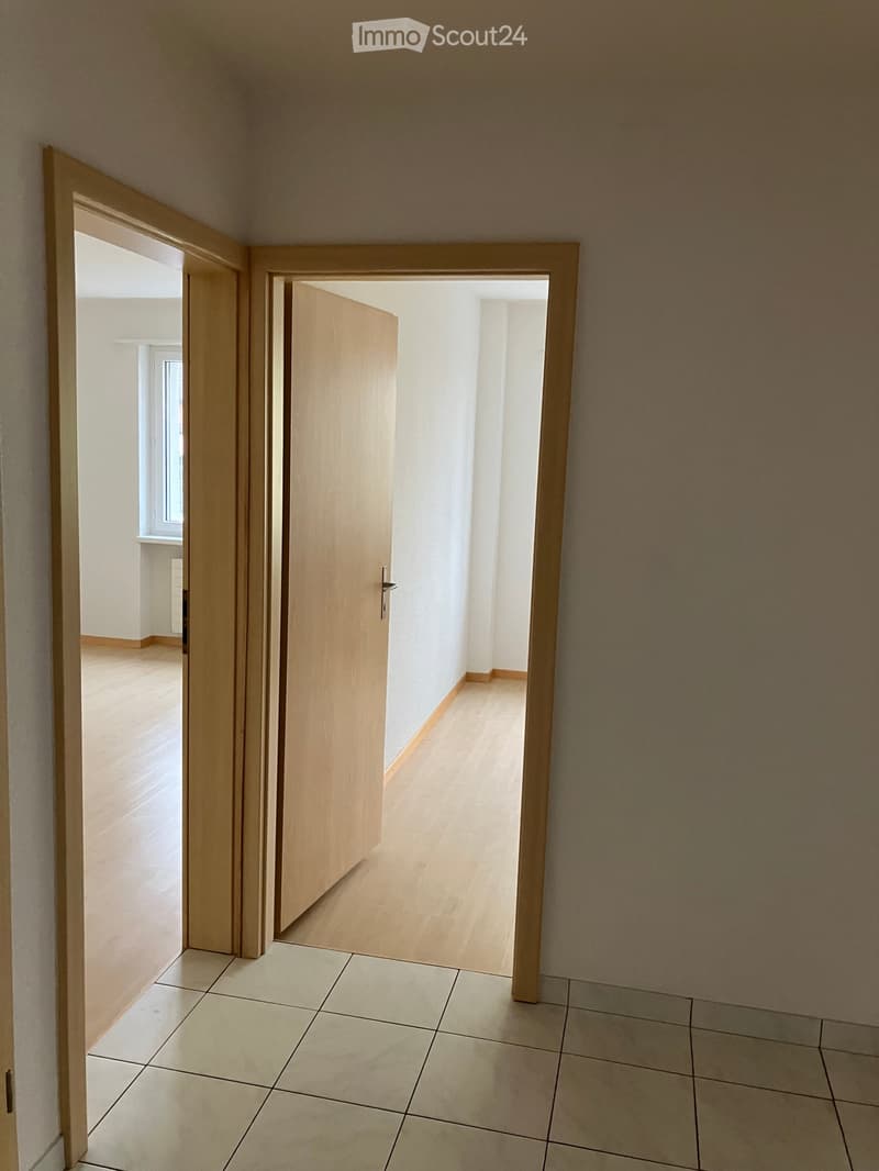 Appartement 3 pièces abordable avec terrasse ensoleillée le soir (5)