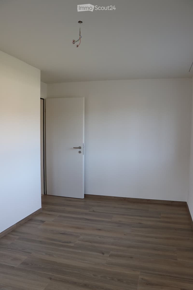 Empty room, white walls, white door, wooden floor