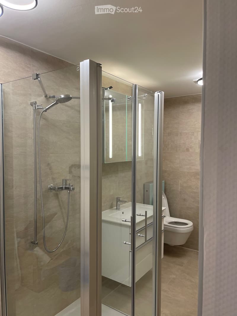 Modern bathroom with walk-in shower, a mirror and a toilet.