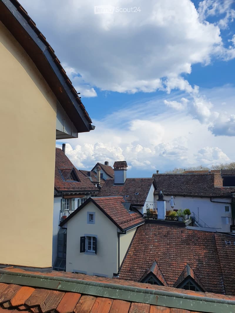 Red roofs, tiled roof, view from a height, white house, multiple buildings