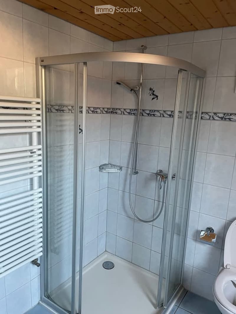 modern bathroom, glass shower enclosure, white tiles, toilet, radiator, shower