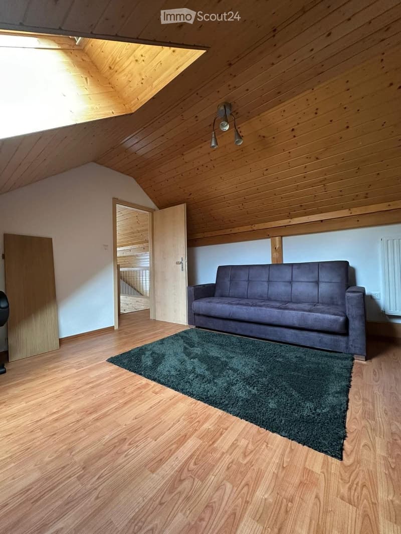 Wooden ceiling, couch, rug, open door, wooden floor