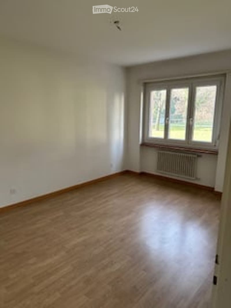 empty room, wooden floor, white walls, windows with radiator, natural light