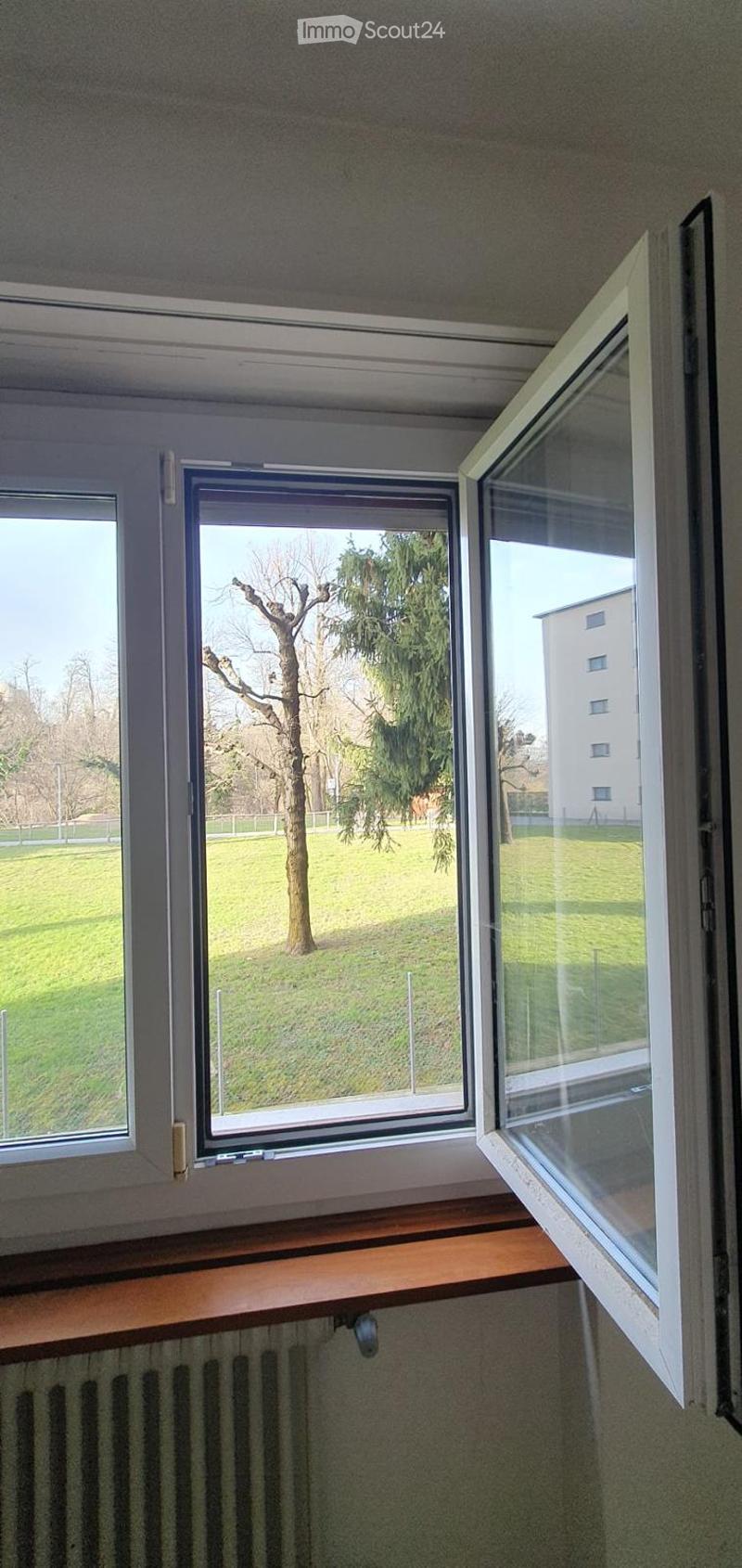 Open window, view of green field, metal railing, radiator