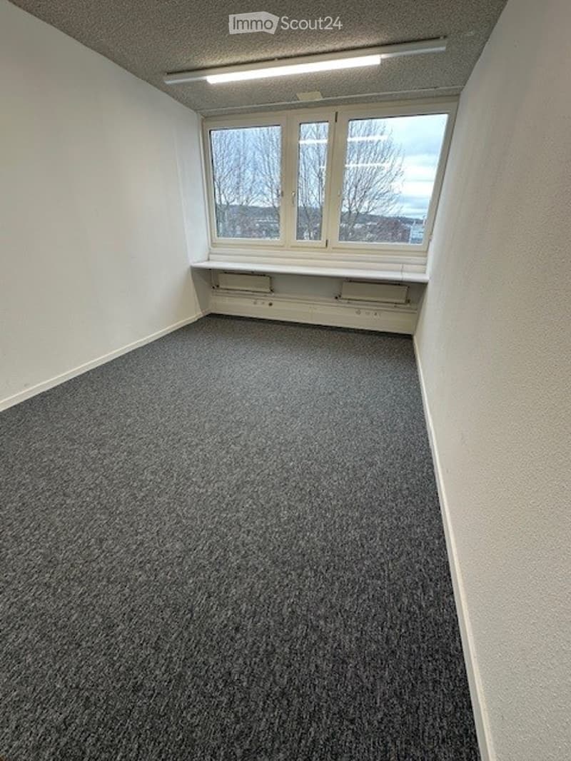empty room with gray carpeted floor, white walls, ceiling with a lamp, a window with a view of trees outside