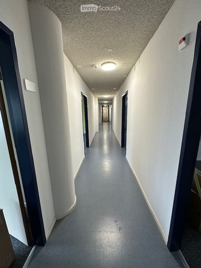 Empty hallway with doors on either side, ceiling light, grey floor, blue frames on doors.