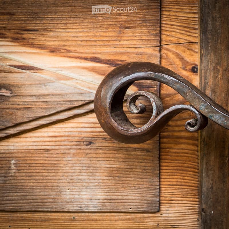 Vintage style wooden door with iron decorative handle