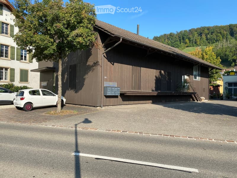 One-story house, brown facade, brown roof, mailbox, parked car, street light