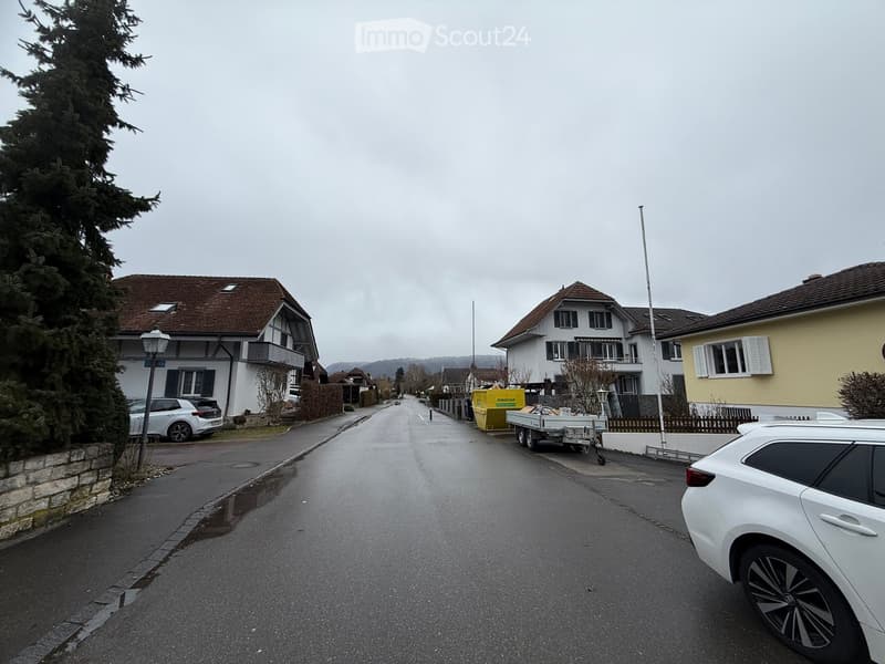 Street with houses on either side, cars parked at the curb, trash truck parked on side, tree on the left, stone wall, gray sky.