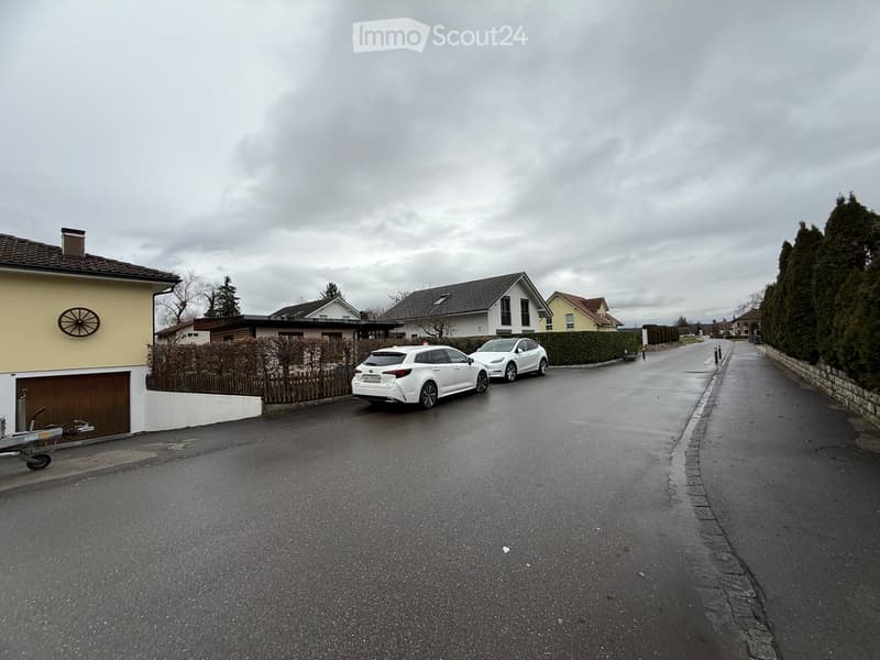 Empty road, two cars parked, houses on the left side, hedges, grey sky.