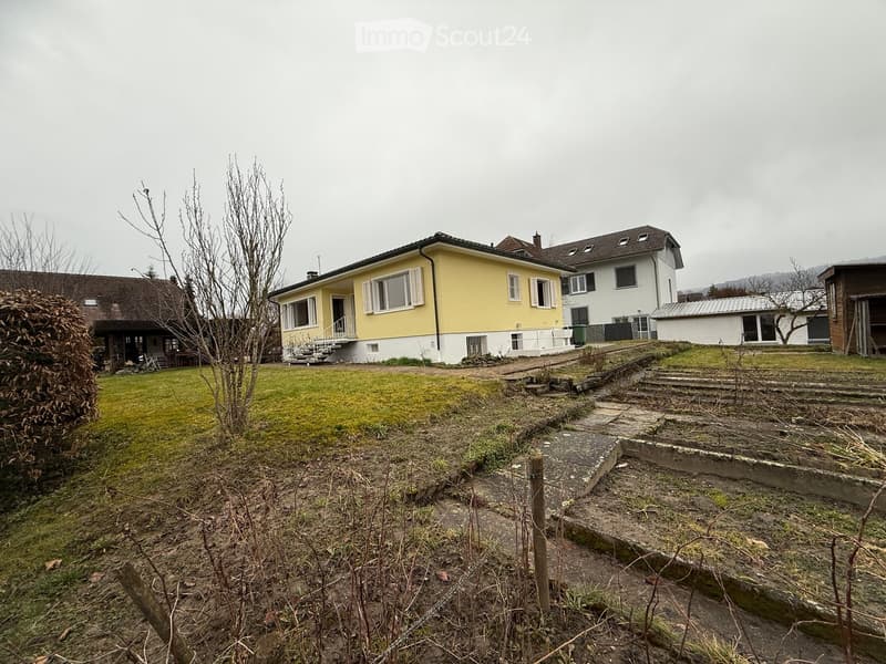 Single-family house with raised ground floor, yellow exterior, steps leading to the entrance, green lawn