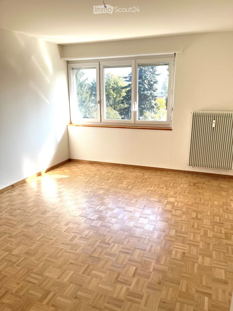 empty room with wooden parquet flooring, large window, radiator