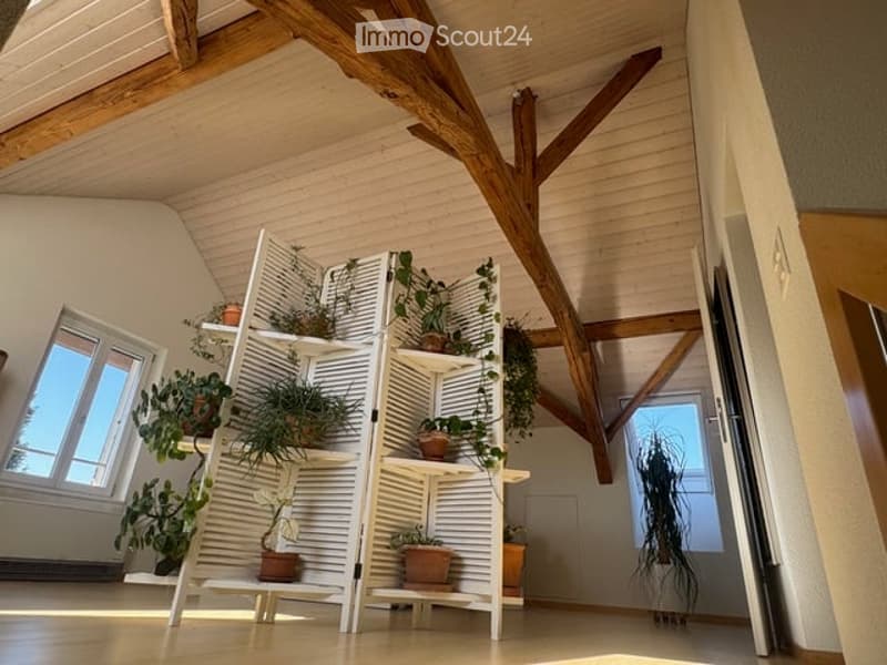 Wooden ceiling, white potted plants, large windows, hardwood floor