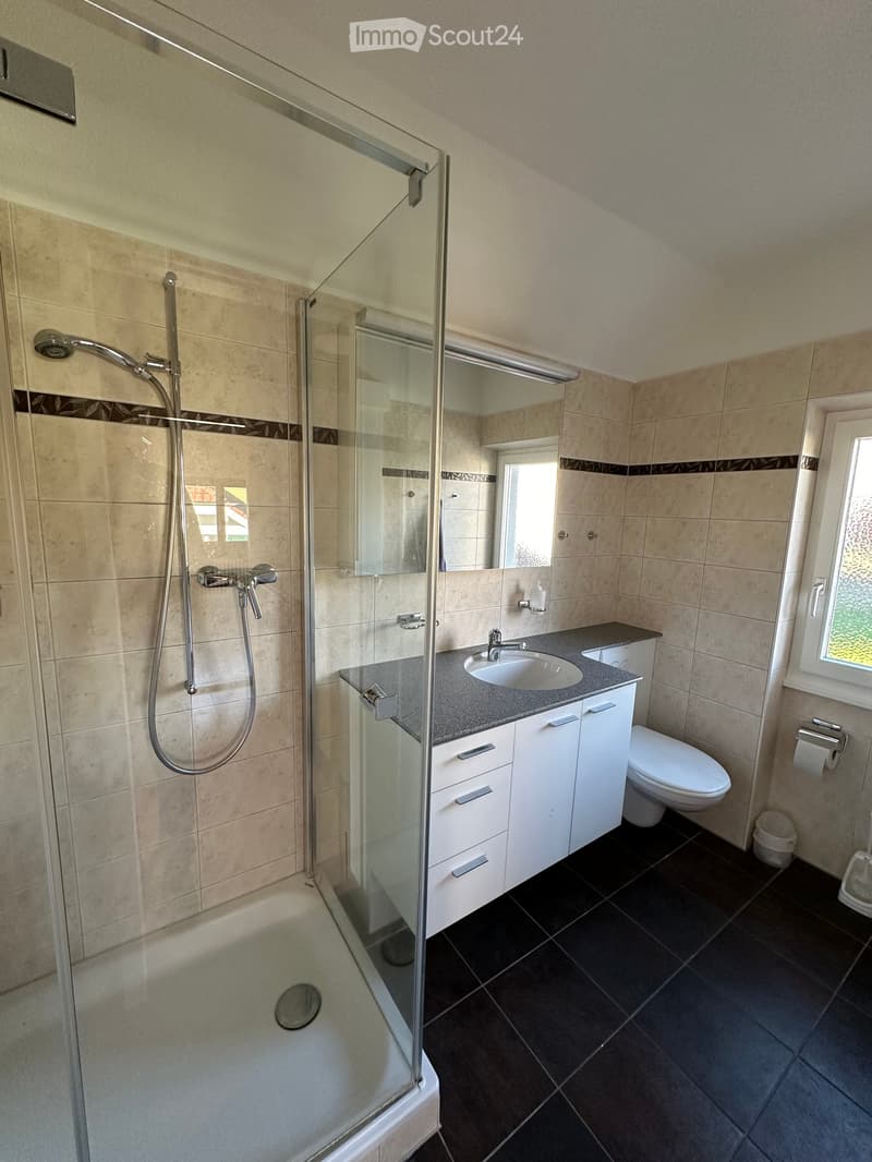 modern shower enclosure, sink, toilet, mirror, wall tiles, floor tiles