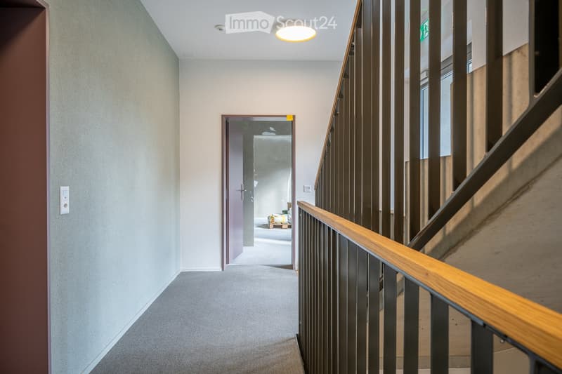 Corridor, grey carpet, wooden staircase, gray wall, brown door, light on ceiling