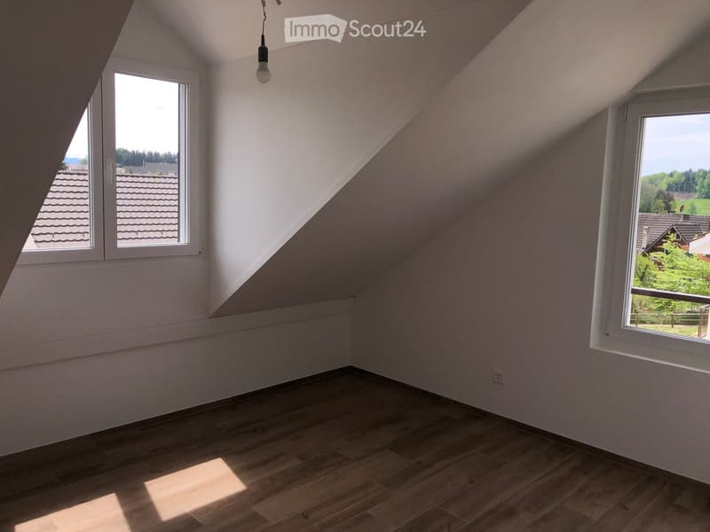 empty room, wooden floor, white walls, two windows, light fixture