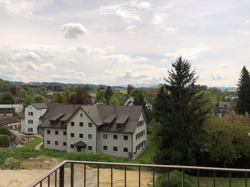 Large house with brown roof, multiple windows, greenery, balcony, pathway, neighboring houses