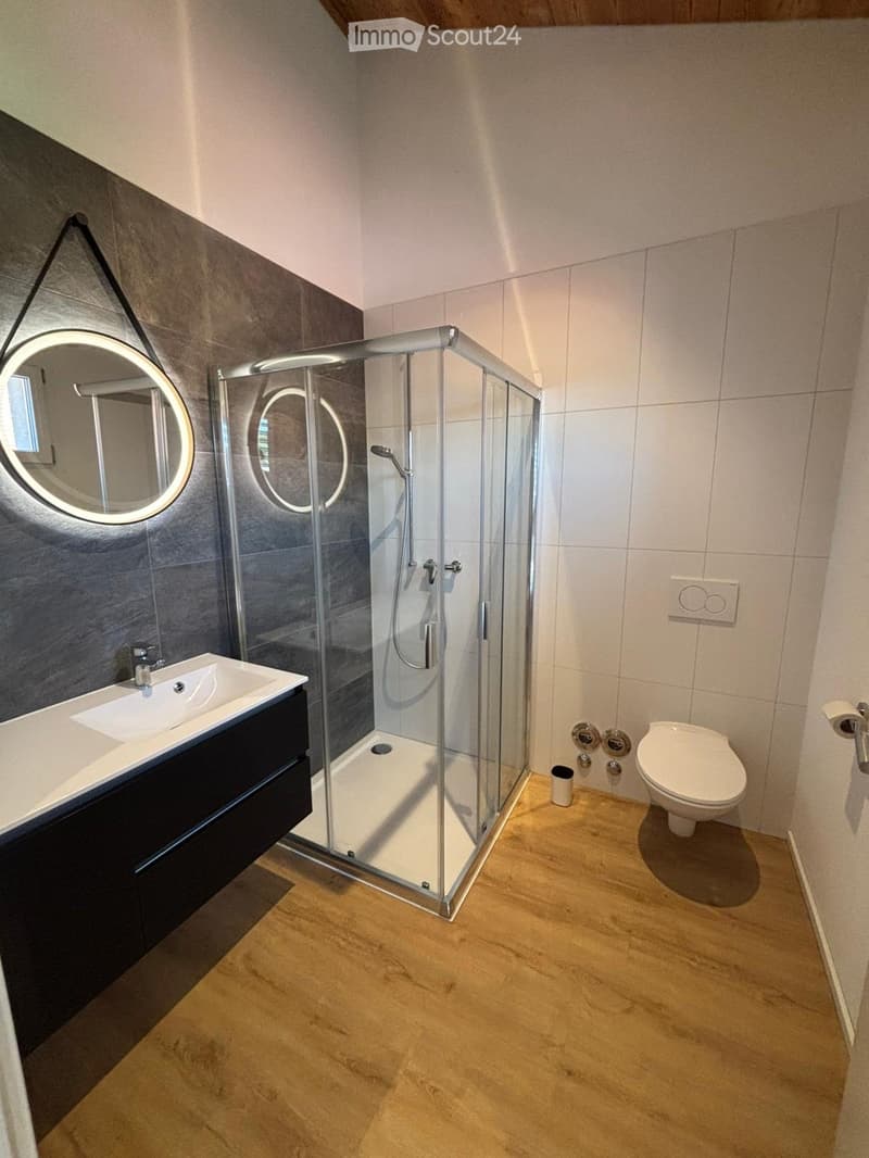 Modern bathroom with a glass-enclosed shower, a white sink with a dark cabinet, a toilet, and a round illuminated mirror on the wall.