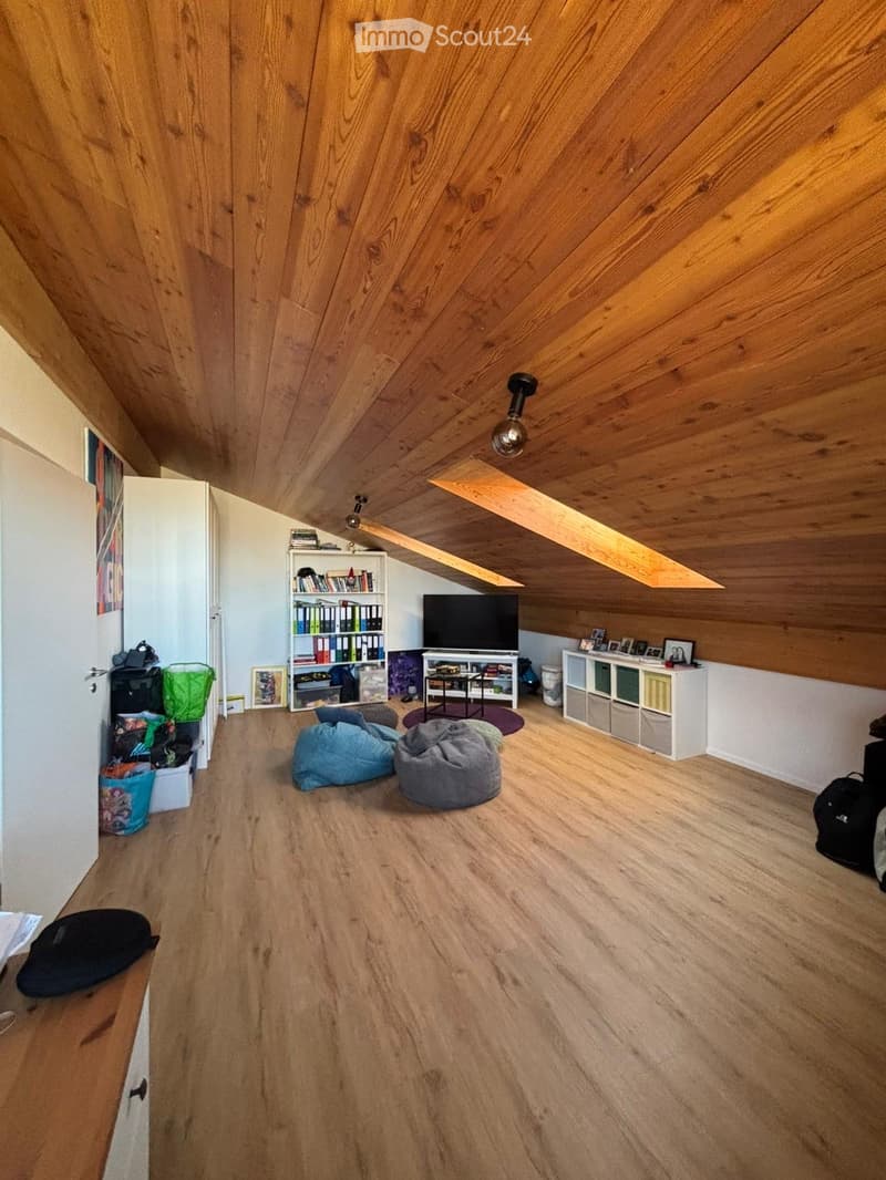 wooden ceiling, wooden floor, white walls, shelves, TV, bean bags, storage boxes, picture frames, bags, books, picture