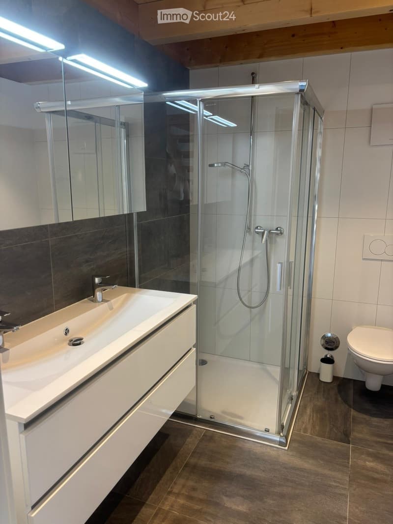 Modern bathroom with a large sink, glass shower enclosure, and toilet. Features include a dark-tiled accent wall, white cabinetry, and sleek fixtures.
