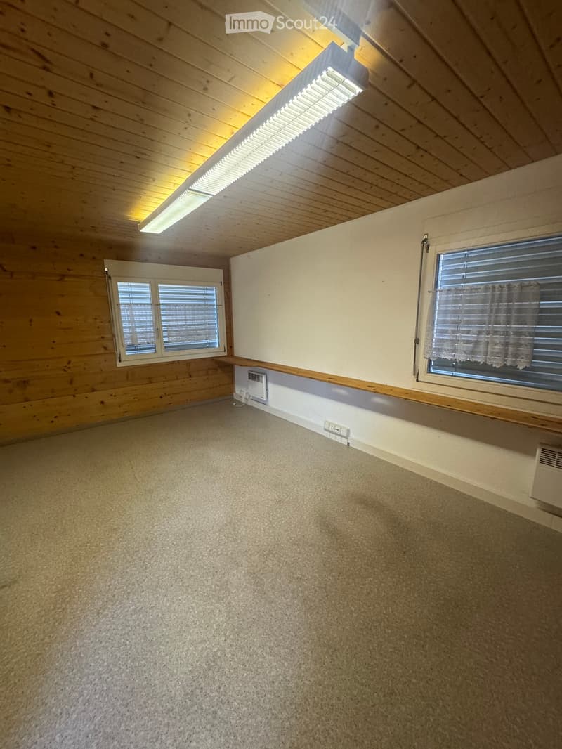 Empty room with carpet, wooden ceiling, two windows, and fluorescent ceiling light