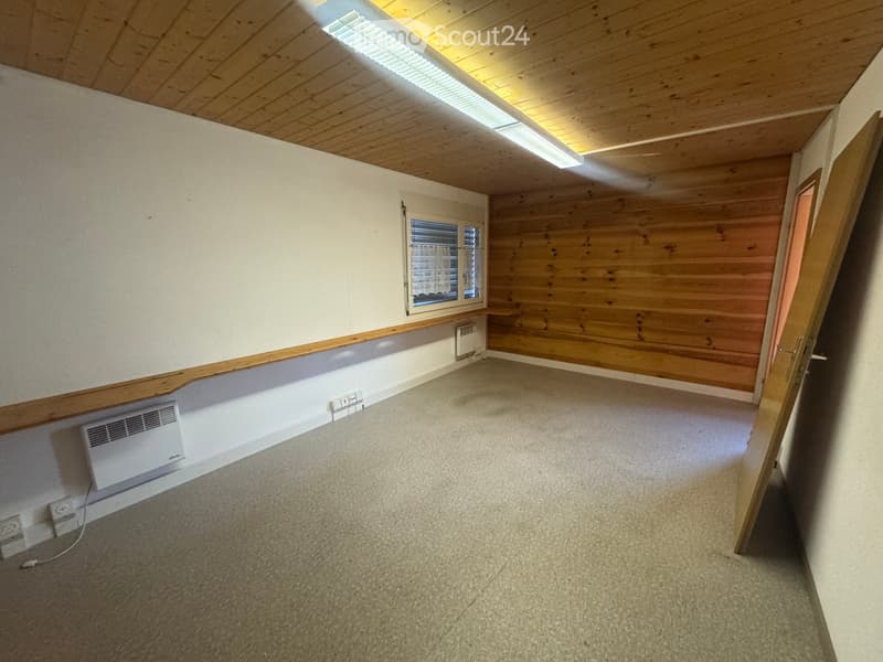 wooden walls, carpeted floor, windows, light fixture, heating units