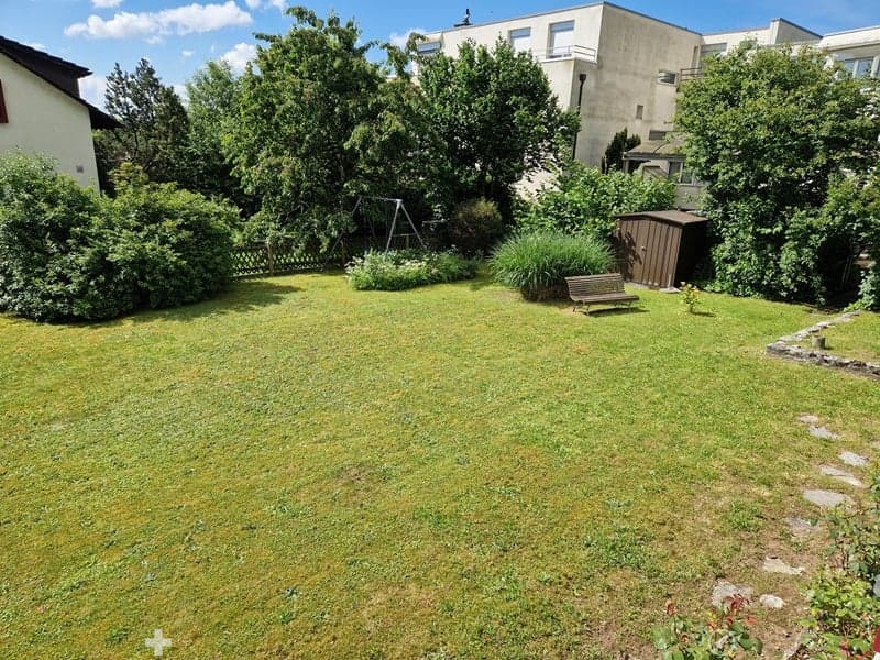 Well-maintained grassy garden with various plants, trees, wooden shed, wooden bench, and swing set.