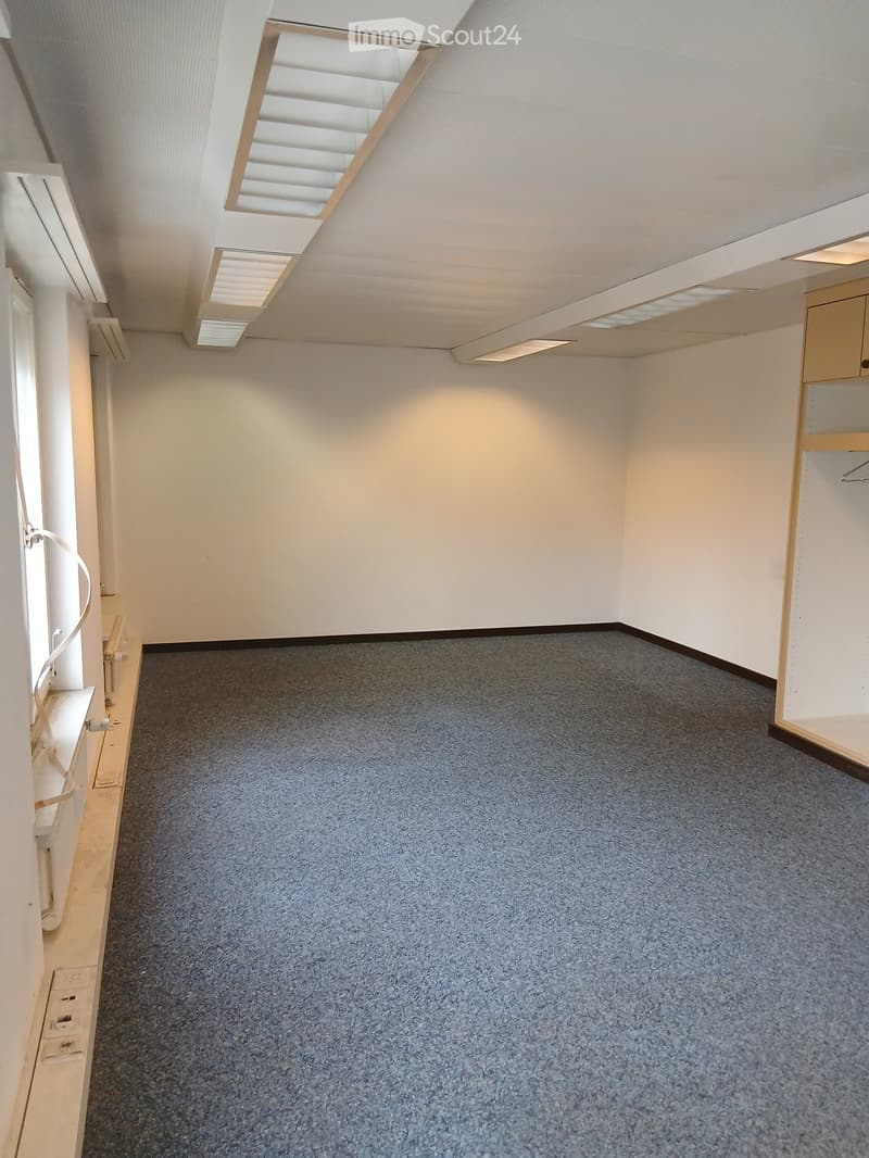 empty room, carpeted floor, white walls, large windows, closet
