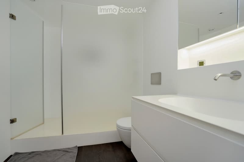 shower, toilet, sink, towel, modern design