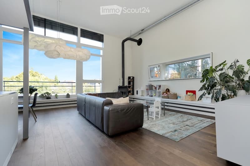 modern room, black couch, white shelves, large windows, balcony, carpet, plants