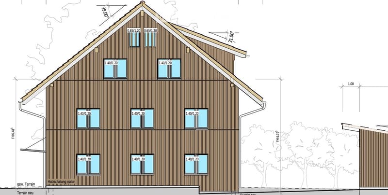 2 story house, wood facade, multiple windows, dimensions in meters, terraced roof