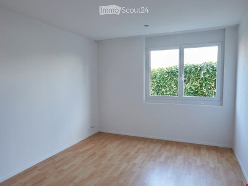 Other. {"output": {"visible_features": [], "type": "Room", "description": "Empty room, white walls, hardwood floor, large window, greenery outside.", "localized_descriptions": {"EN": "Empty room: white walls, hardwood floor, large window, greenery outside