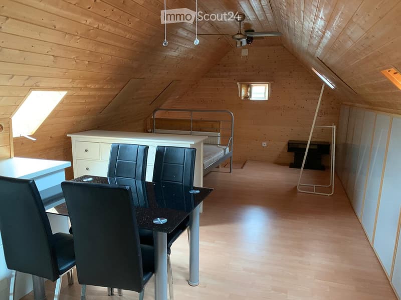 furnished with a dining table and chairs, wooden floor, wardrobe, radiator, bed, ceiling fan, skylights
