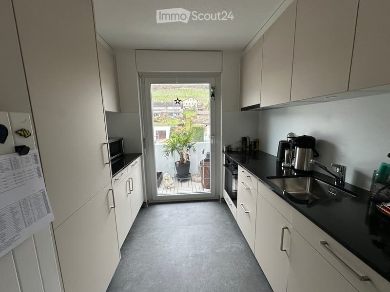 open kitchen, gray floor, sliding door to terrace with greenery, white cabinets, black countertops, stainless steel sink, faucet, kitchen appliances, potted plant