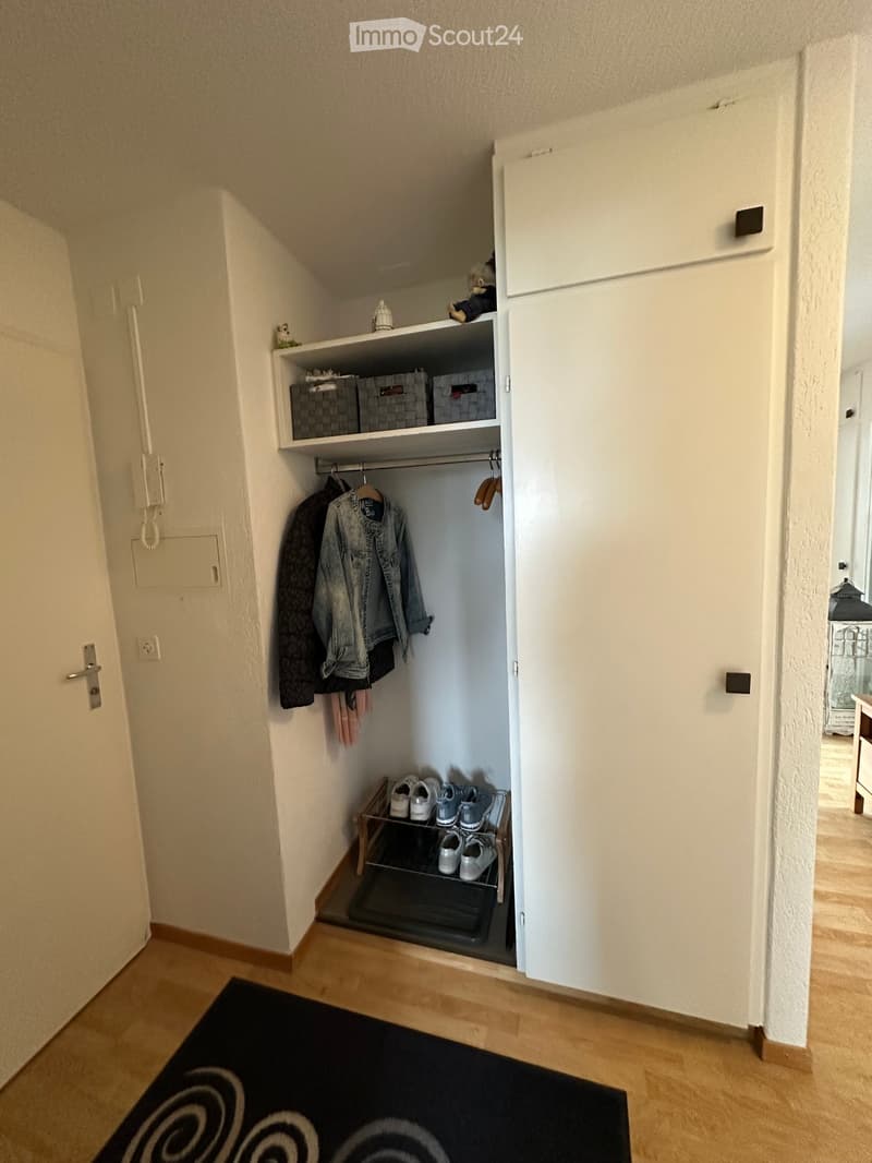Entryway with wooden floor, black rug, full-length mirror, coat rack, hanging jackets, storage boxes on shelves, and shoes on rack.