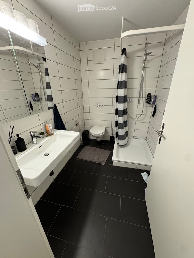 Magnificent 3.5-room apartment renovated in Pieterlen (2)