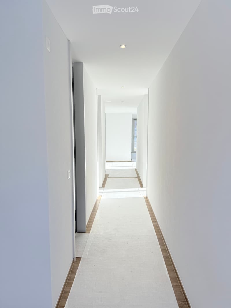 4.5 room apartments in Frutigen (3)
