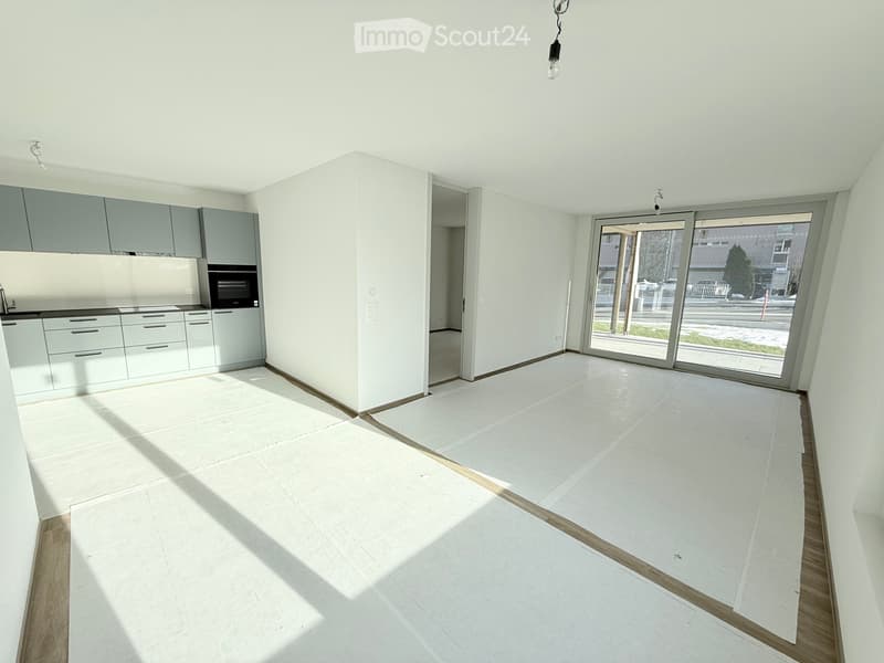 4.5 room apartments in Frutigen (7)