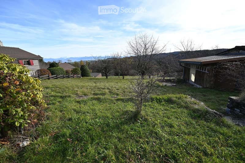 empty grassy field with some trees and mountains in the background