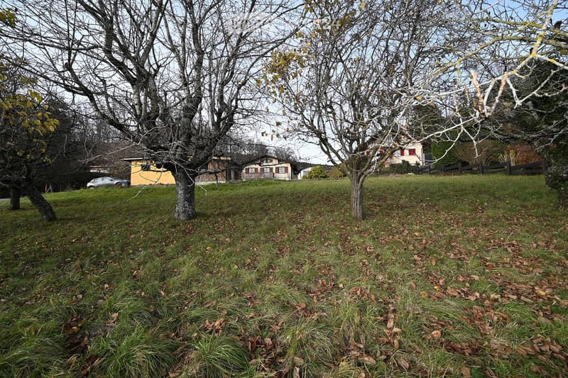 A grassy field with deciduous trees and leaf litter in the foreground, with houses in the background.