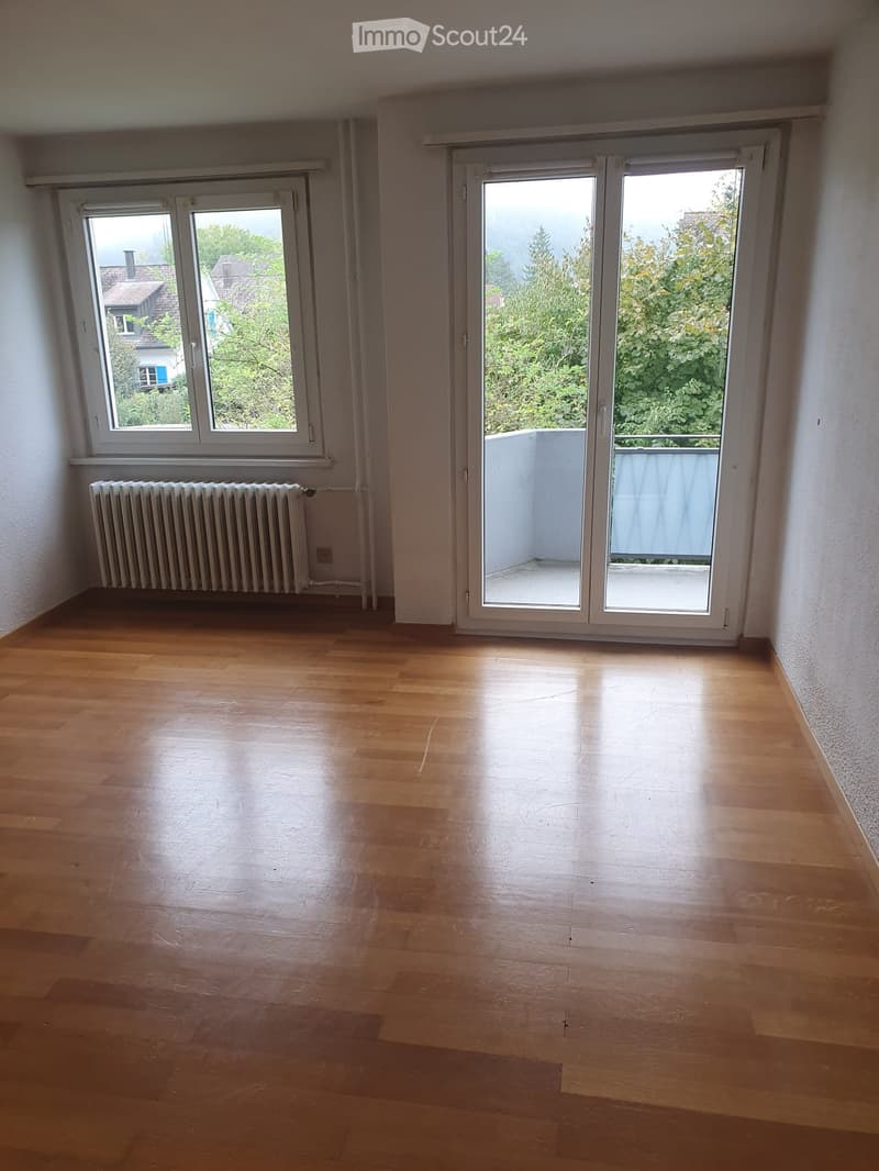 Hardwood floor, large windows, sliding balcony doors, white walls, central heating radiator
