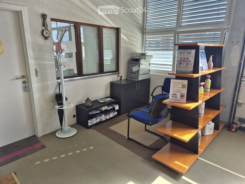 modern office interior with white walls, rug, glass windows, printer, cabinets, shelf, blue chair