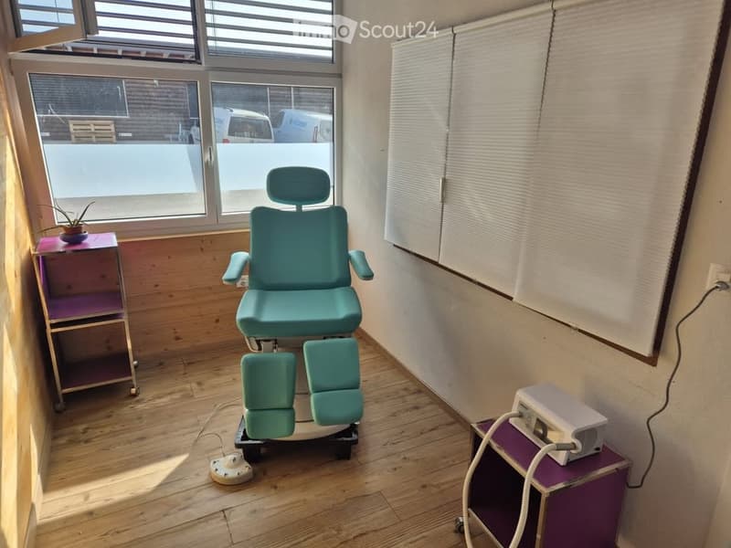 Green chair, medical equipment, window, blind, shelf with potted plant