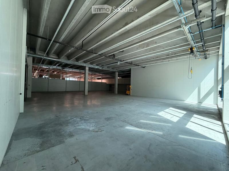 Empty room with concrete floor, white walls, metal beams, pipes, and windows