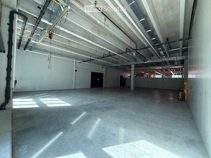 Empty room with concrete floor, white walls, exposed pipes and beams, two doors, and windows