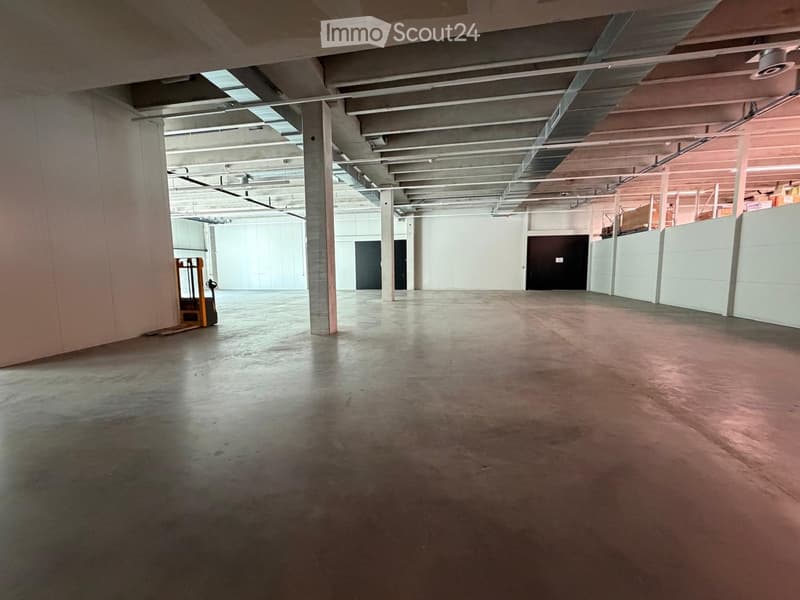 Empty warehouse with concrete floor, white walls, metal beams, and two doors.