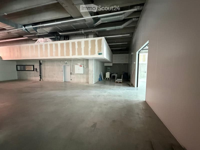 Empty room with concrete floor, unfinished walls, and exposed pipes