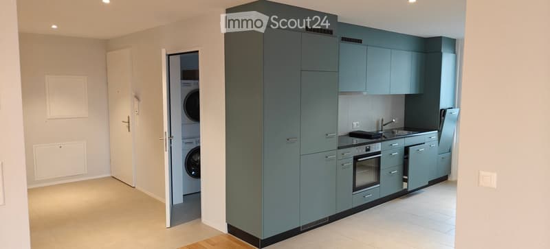 modern kitchen, green cabinets, white tile flooring, washing machine in the corner, built-in oven, sink with faucet
