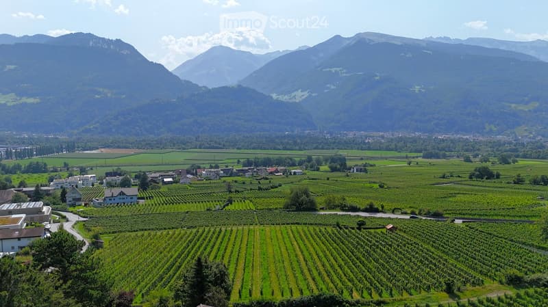 Wide landscape with vineyards, houses, mountains, and road